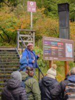 Excursión a Puerto Blest y Lago Frías con traslado - Imagen 3