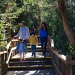 Isla Victoria y Bosque de Arrayanes con Traslado