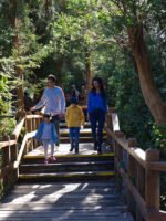 Isla Victoria y Bosque de Arrayanes con Traslado