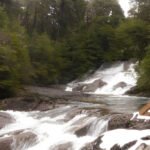 Puerto Blest y Cascada "Los Cantaros" con traslado