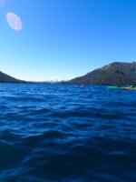 Kayak por el Lago Moreno - Imagen 3