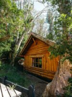 Isla Victoria y Bosque de Arrayanes con Traslado - Imagen 2