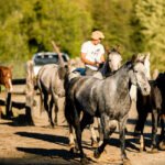 Cabalgata con vista al Cerro López - Aventura entre bosques y miradores del Circuito Chico